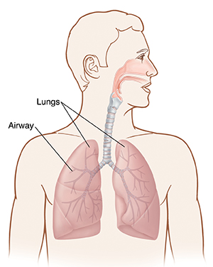 Front view of man’s head and chest showing respiratory anatomy.